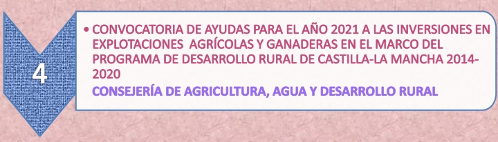 12.4._Ayudas_explotacion_agricola_27-5-21.jpg