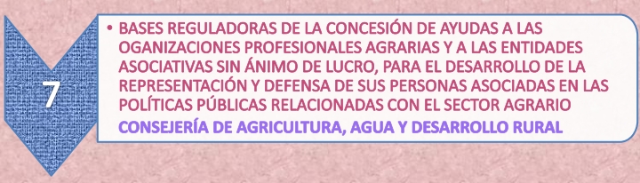 12.7._Ayudas_organiz._prof._agrarias_27-5-21.jpg