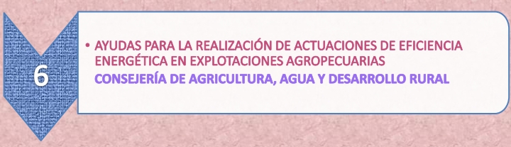 14.6._Ayudas_Explotaciones_Agropecuarias_7-6-21.jpg