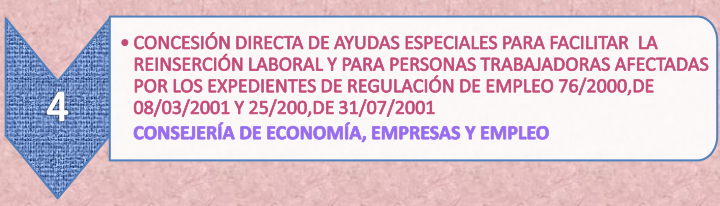 20.4._Ayudas_reinsercion_laboral_19-7-21.png