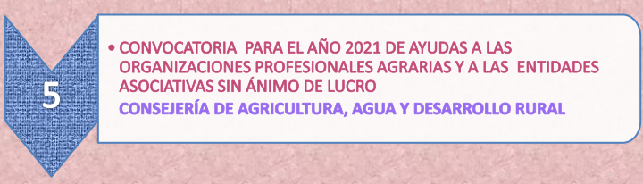 21.5._Ayudas_agrarias_26-7-21.png