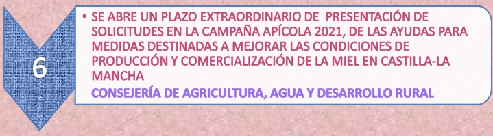 7.6._ayudas_apicultura_22-4-21.jpg