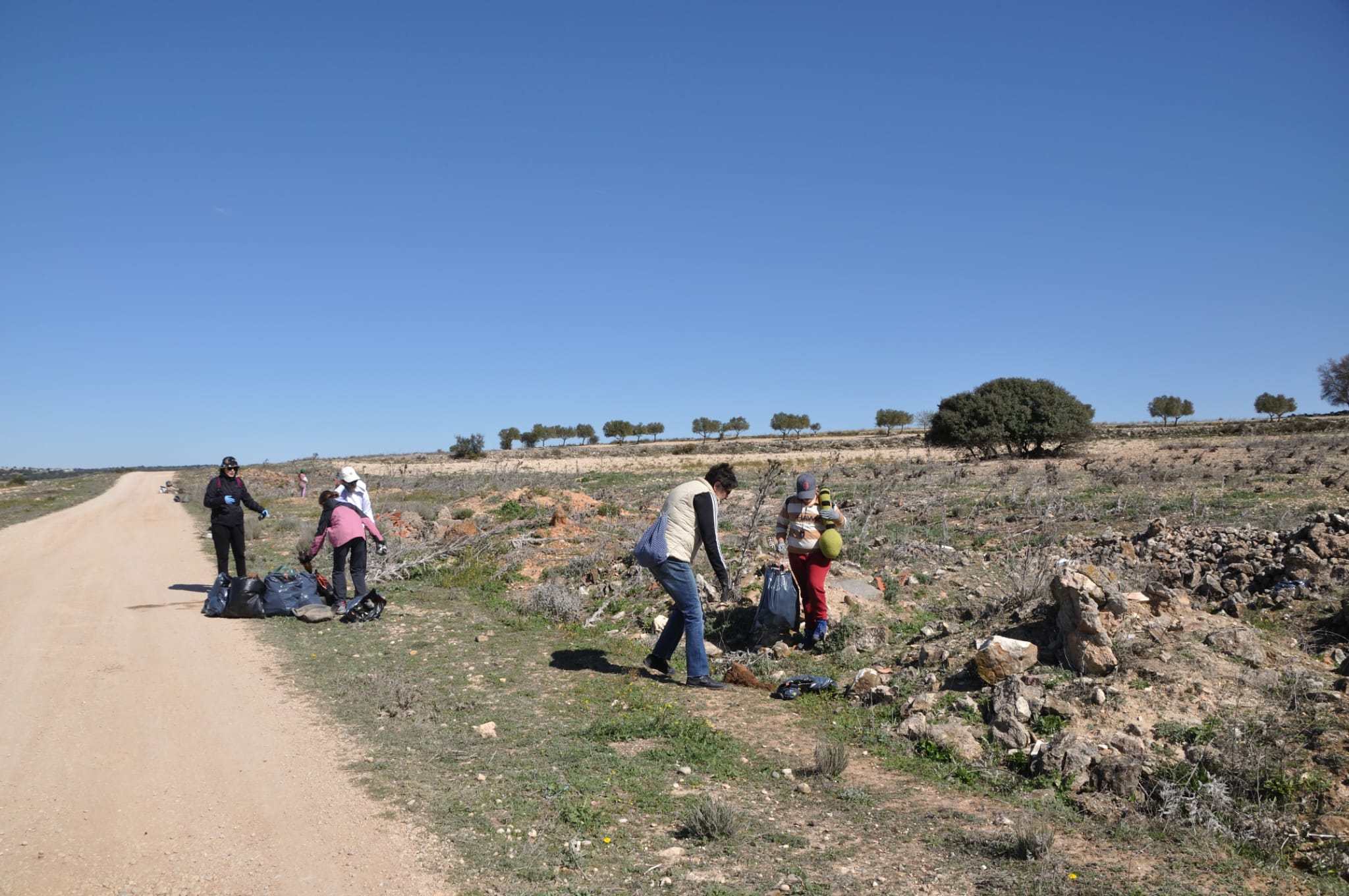 Actividad_con_Iberozoa_29-05-25_5.jpeg